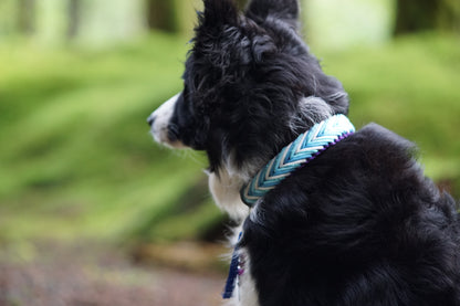 Ronja's Wildtail