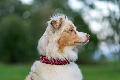 Lykke's Sparkle
